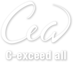 CEA create exceed all